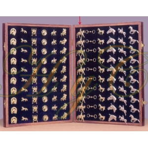 Pin Dorados coleccion con estuche