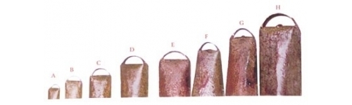 Campanillas